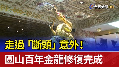 百年金龍斷頭|圓山飯店金龍斷頭意外揭祕！百年神龍重現 成新打卡地標